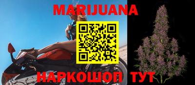 jwh Новозыбков