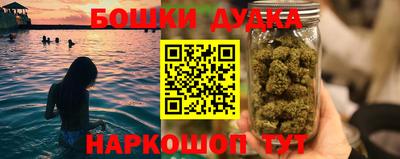 твердый Новодвинск