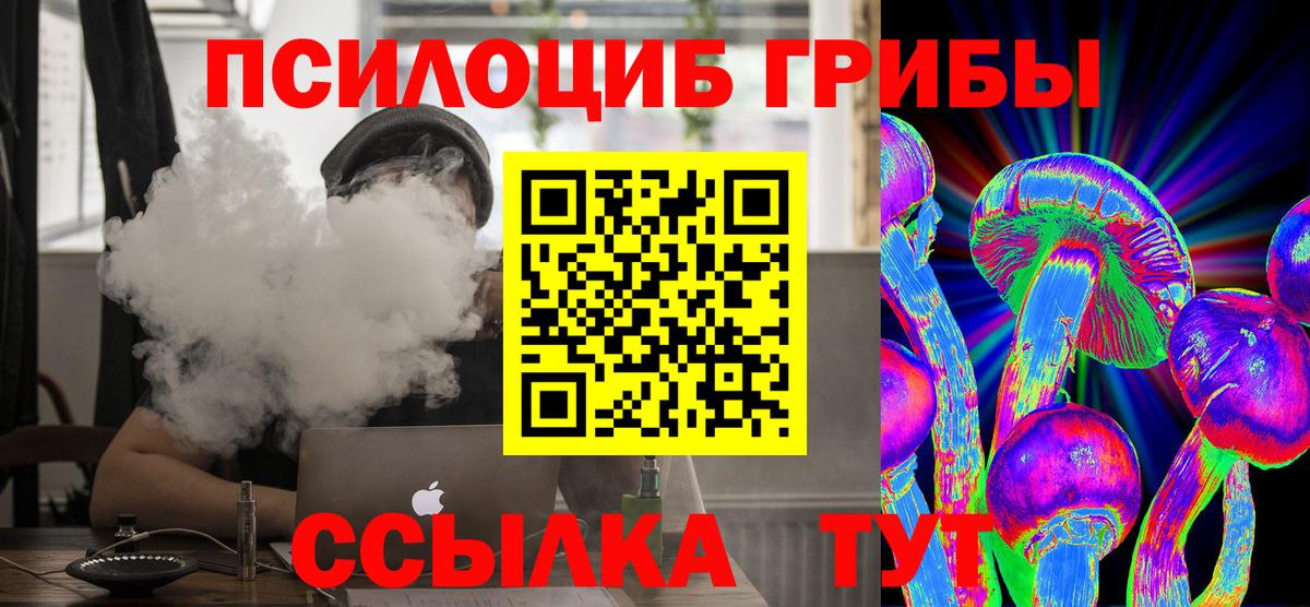 Галлюциногенные грибы MAGIC MUSHROOMS  Вход с VPN  продажа наркотиков  Подольск 